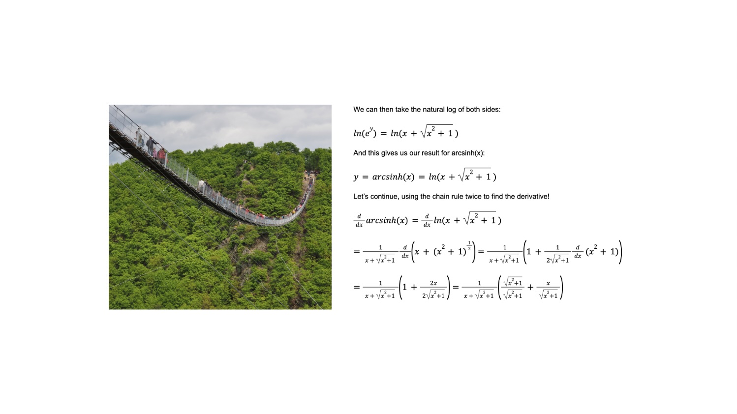 The Hanging Chain Problem